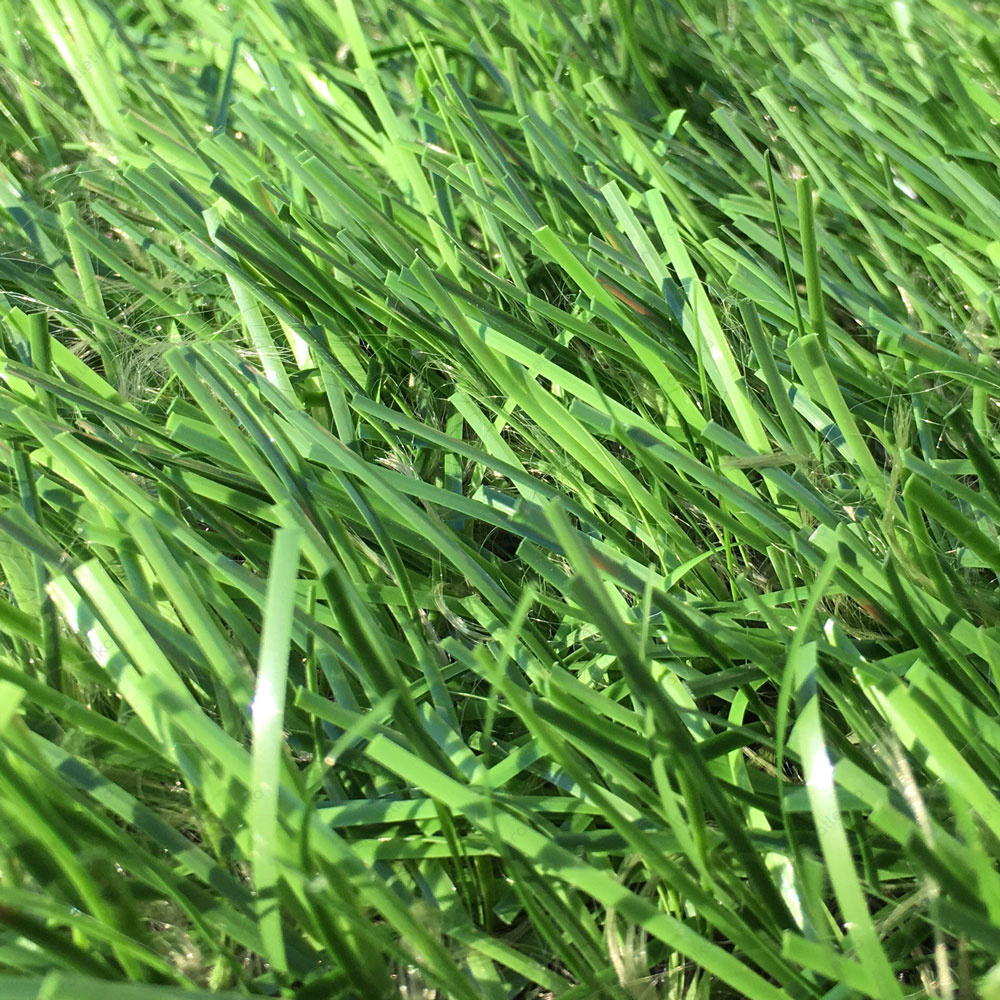 Зображення категорії