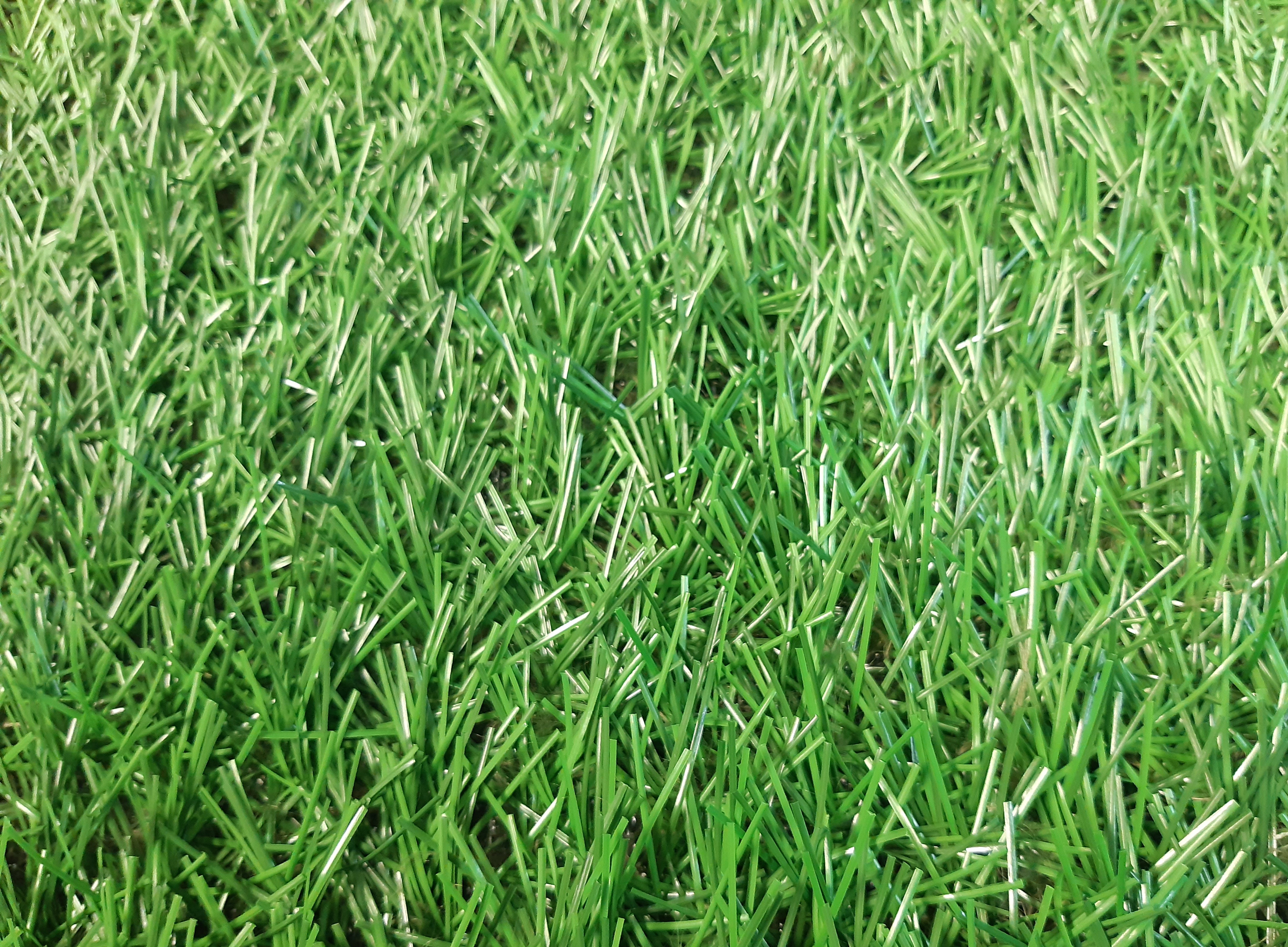 Зображення категорії